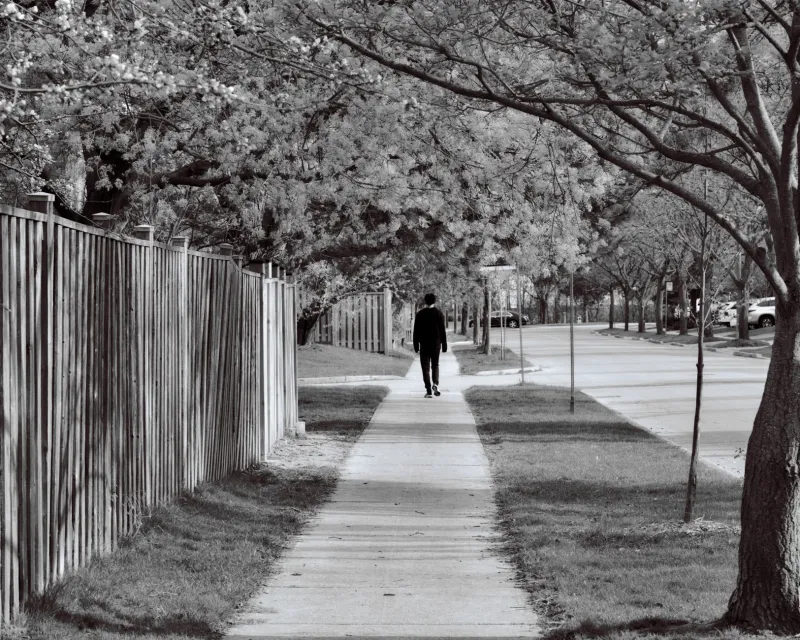 Six Blocks and a Lifetime: The Psychology of the Walkers Who Never Wander Far